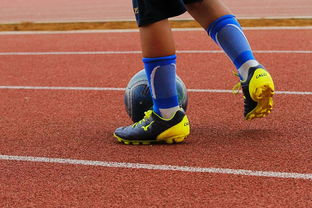 乐鱼体育app网址-CBA新赛季全面开打各队实力全面升级，cba新赛季有哪些球队